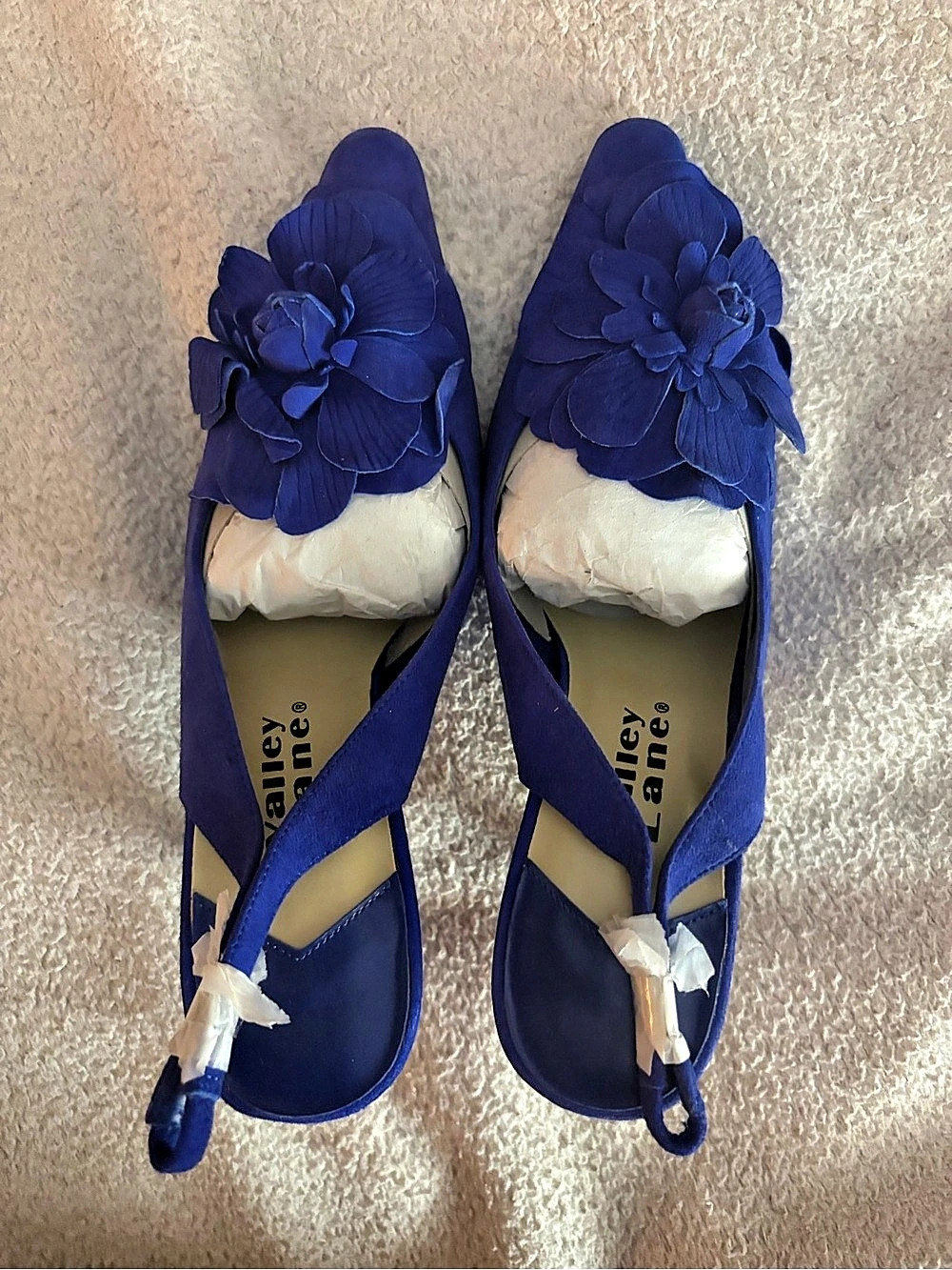 Valley Lane Floral Appliqué Heels in Blue US 6 New